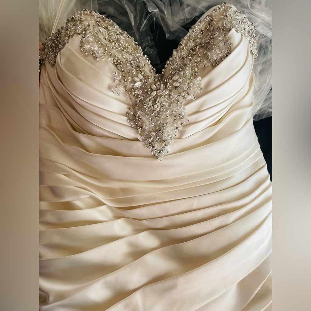 Stunning Wedding Dress - Picture 5 of 5